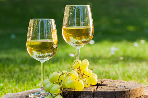 Sauvignon Blanc